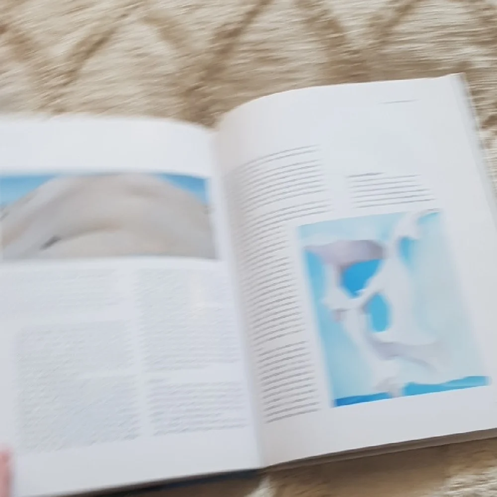 Georgia O'Keeffe: An Eternal Spirit by Susan Wright art book - Picture 10 of 12